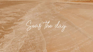 Seas The Day Kremestetisk
