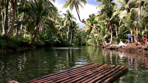 Siargao Island Maasin River Flåte bakgrunnsbilde — Pro Display XDR Bakgrunner