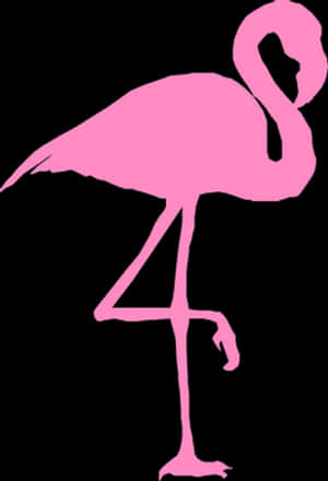 Silhuett av rosa flamingo