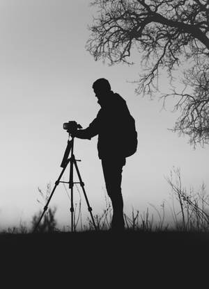 Silhuett gråtonefotografi-tapet — Oppo Pad 6 Bakgrunner