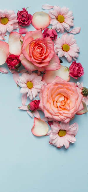 Sjarmante rosa blomster: Et forfriskende telefonbakgrunnsbilde — Blomstertelefon Bakgrunner