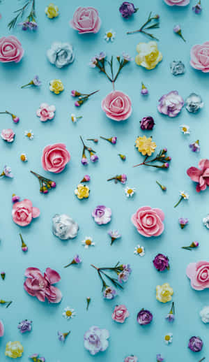 Sjarmerende pastellvårblomster — Huawei Pura X Bakgrunner