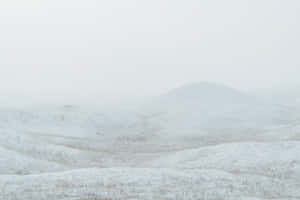 Snø estetiske bilder — Snøestetikk Bakgrunner