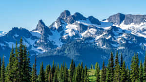 Bakgrunn med fjell — Fjell Bakgrunner