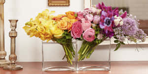 Blomsterbilder — Blomstermønster Bakgrunner