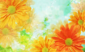 Skjønnheten til en blomstrende blomst