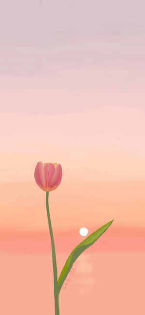 Tulipanbakgrunn — Huawei Mate X Bakgrunner