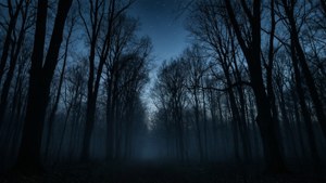 Silhuett av mørk skog i skumringen med tåke og stjerner. — Svart estetisk GIF Bakgrunner