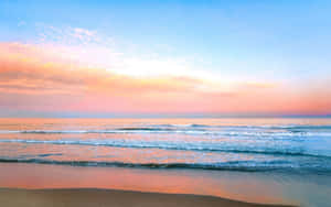 Bilder av estetisk strand