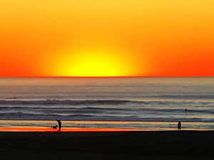 Strandsolnedgang bilder — Strandsolnedgang Bakgrunner