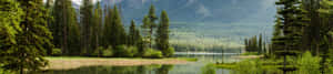 4k Naturbakgrunn — Foss Bakgrunner