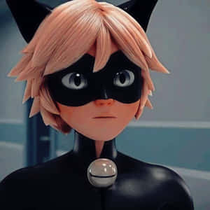 Cat Noir-bilder