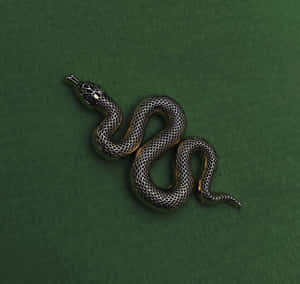 Bilder av Slytherin-estetikk — Slytherin-estetikk Bakgrunner