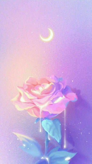 Smeltende Rosa Myk Estetikk bakgrunnsbilde — Rose Aesthetic Bakgrunner