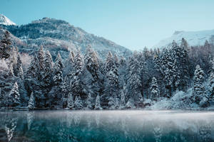 Snøestetisk refleksjon bakgrunnsbilde — Snøestetikk Bakgrunner