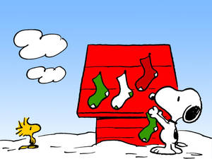 Bakgrunnsbilde med Snoopy Julestrømper — Snoopy jul Bakgrunner