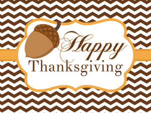 Søt brun kastanje til Thanksgiving