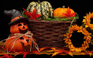 Søt estetisk Halloween-gresskar og blomster
