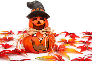 Søt Halloween høst Jack o' lantern bakgrunnsbilde. — Søt estetisk halloween Bakgrunner