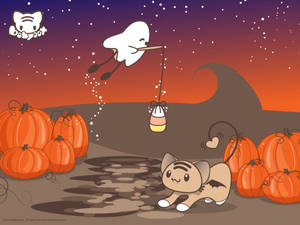 Søt Halloween-katt som tøyer seg