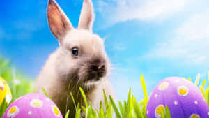 Søt påskehare og fargerike egg på en festlig bakgrunn — Søt påske Bakgrunner