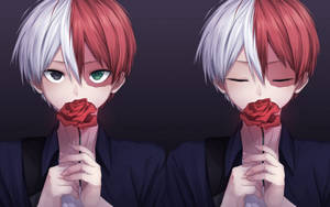 Søt Todoroki som holder en rød rose bakgrunnsbilde — Søt todoroki Bakgrunner