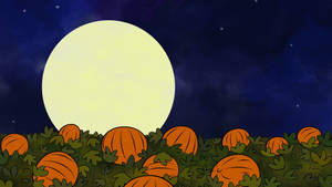 Søte estetiske halloween-gresskar og måne