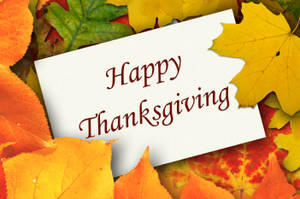 Søte tørre høstblader til Thanksgiving — Søt Thanksgiving Bakgrunner