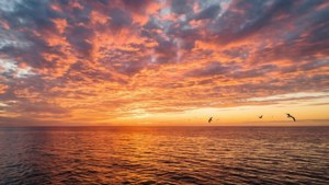 En fantastisk solnedgang over havet med livlige farger og refleksjoner. — Himmelutsikt Bakgrunner
