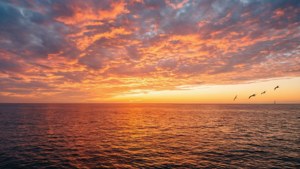 En fantastisk solnedgang over havet med livlige farger og refleksjoner. — Himmelutsikt Bakgrunner