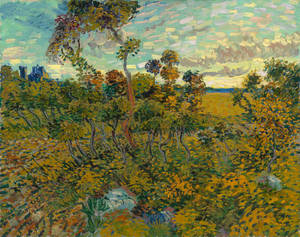 Solnedgang ved Montmajour Van Gogh Museum