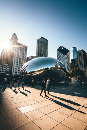 Solrik The Bean Chicago — Xiaomi Pad 7 Ultra Bakgrunner