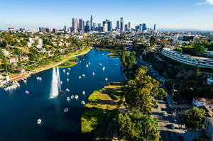 Solsiktsboulevard Echo Park Lake bakgrunnsbilde