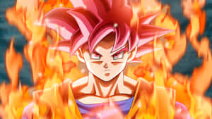Son Gokū og Vegeta jobber sammen for å redde universet! — Dragon ball super GIF Bakgrunner