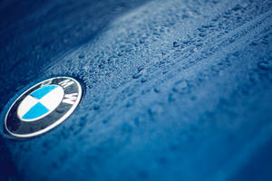Nærbilde bakgrunnsbilde av BMW-logo på blå bil med dråper