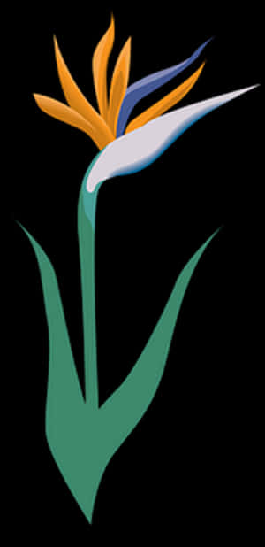 Stilisert illustrasjon av en paradisfuglblomst