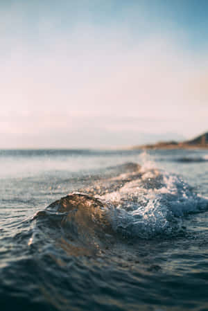 Strandestetikk bilder