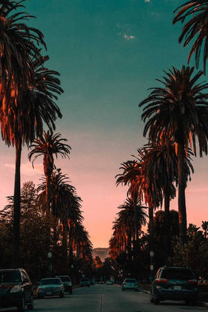 Bakgrunnsbilde av Sunset Boulevard og Hollywood-skiltet