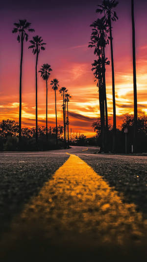Sunset Boulevard vei-portrett bakgrunnsbilde