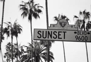 Sunset Boulevard svart-hvitt bakgrunnsbilde