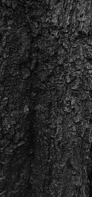 Svart Teksturert Trebark Bakgrunnsbilde — Google Pixel 6 Pro Bakgrunner