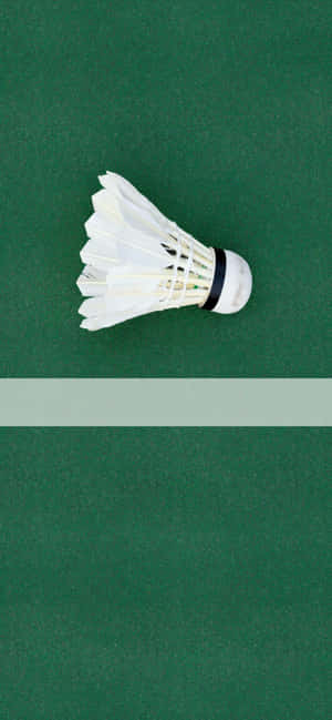 iPhone Xs Max Badminton Bakgrunn — OnePlus 13s Bakgrunner
