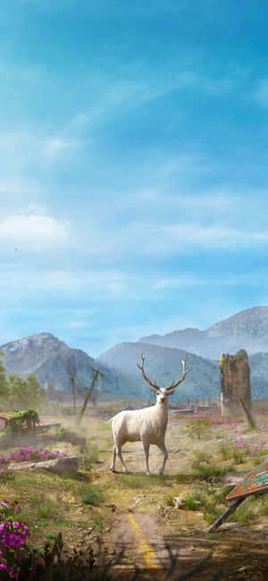 Iphone X Far Cry 3 Bakgrunn — Vivo T5 Pro Bakgrunner