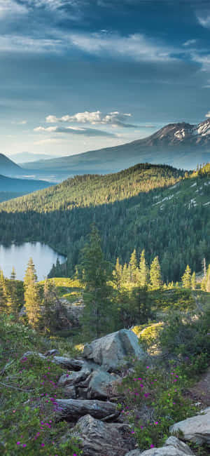 iPhone X California Bakgrunn — Sommer Bakgrunner