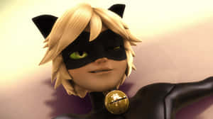 Cat Noir-bilder
