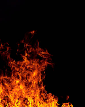 Brennende ild med røde og oransje flammer som brenner i mørket.
