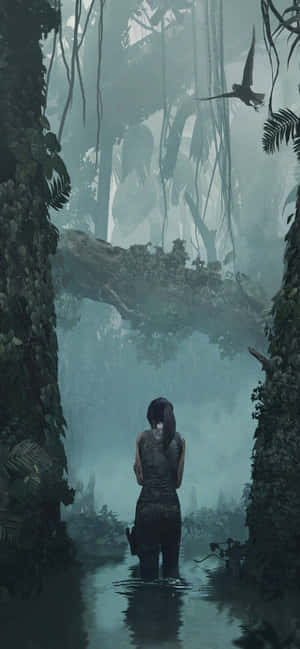 iPhone Xs Max Rise Of The Tomb Raider Bakgrunn — iPhone 12 Pro Max Bakgrunner