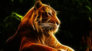 Tiger Chromebook-bakgrunnsveggpapir — Chromebook Bakgrunner
