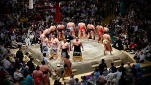 Japansk sumobrytearena bakgrunnsbilde — Pro Display XDR Bakgrunner