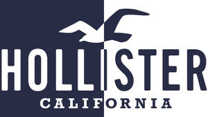 Tofarget Hollister-logo bakgrunnsbilde — Chromebook Bakgrunner